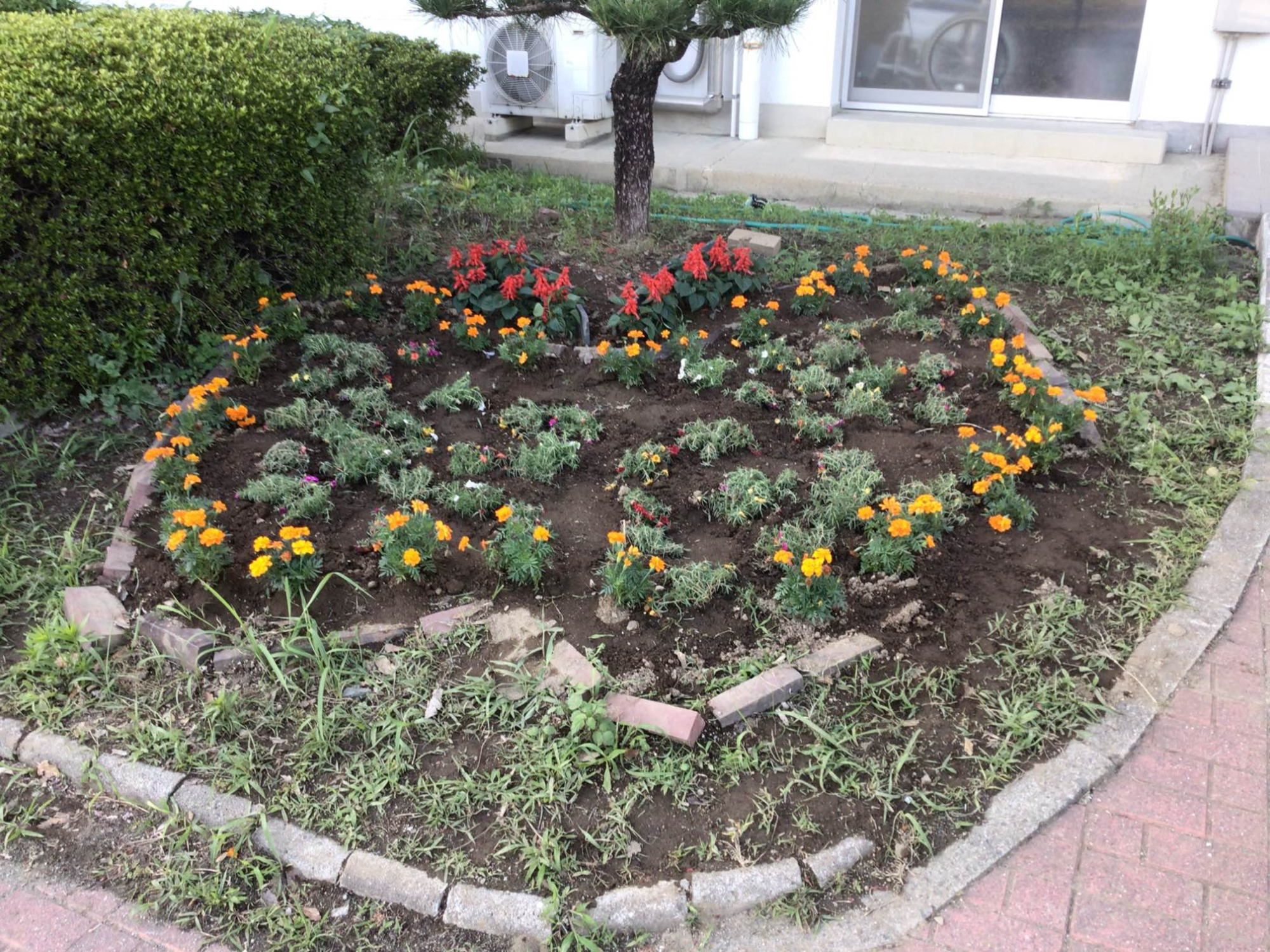 榛沢小学校