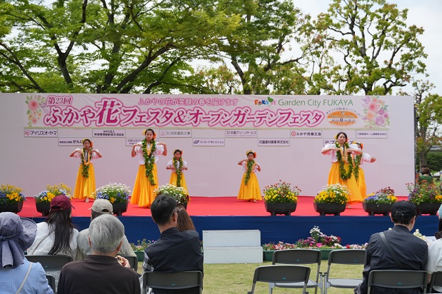 フラダンス