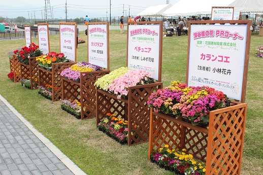 深谷産の花PRコーナー