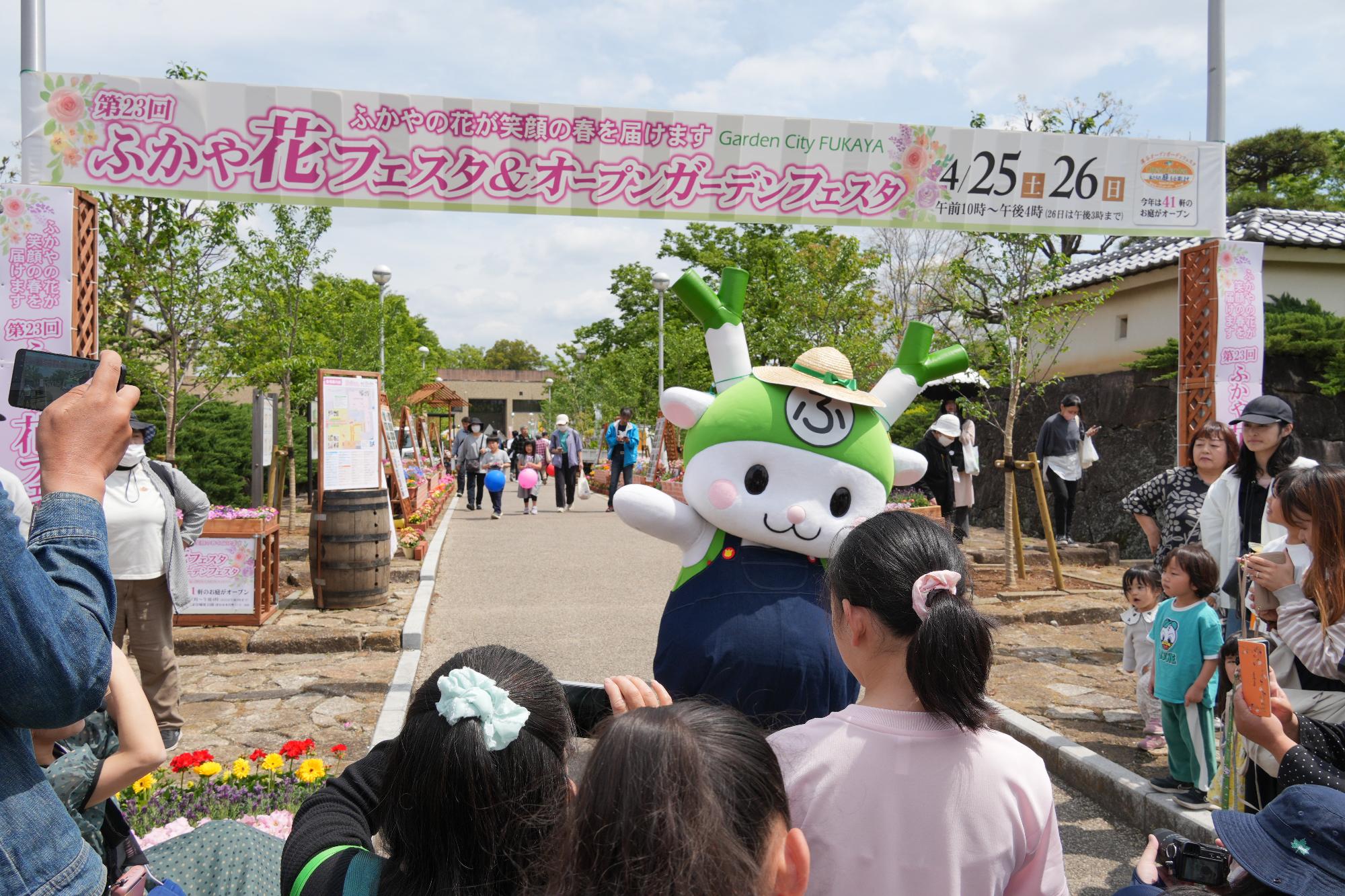 ふっかちゃん