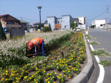 除草＆花がら摘み