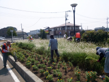 除草＆花がら摘み