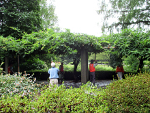 除草