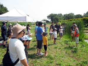 田植え