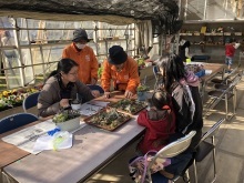 多肉寄せ植え教室