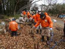 腐葉土づくり