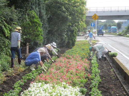 花園インターチェンジ花ボランティア