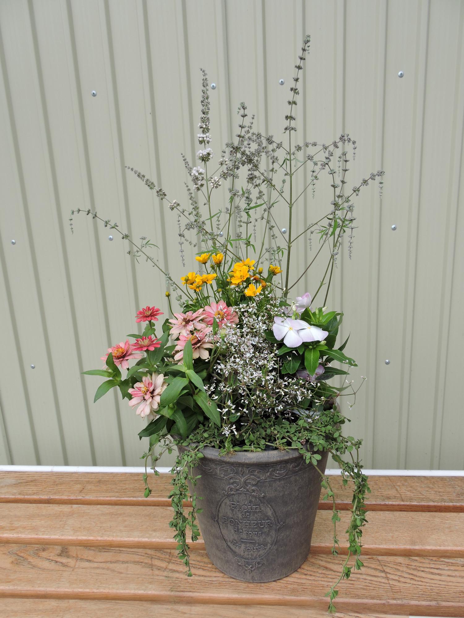 春まで楽しめる寄せ植え教室