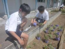 花園中学校