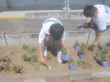 花園中学校