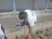 花園中学校
