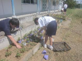 花園中学校