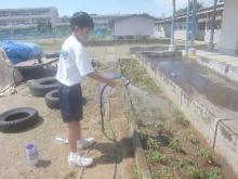 花園中学校