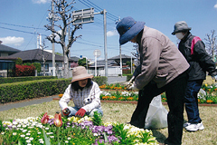 活動の様子1