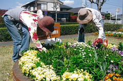 活動の様子3