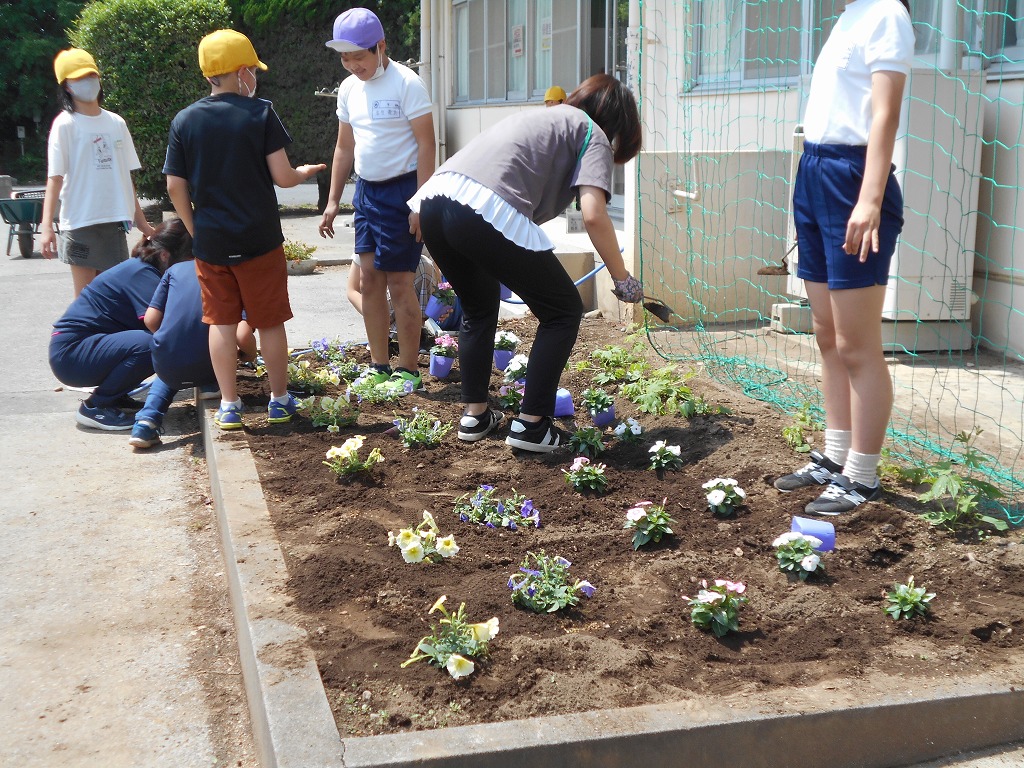 幡羅小学校