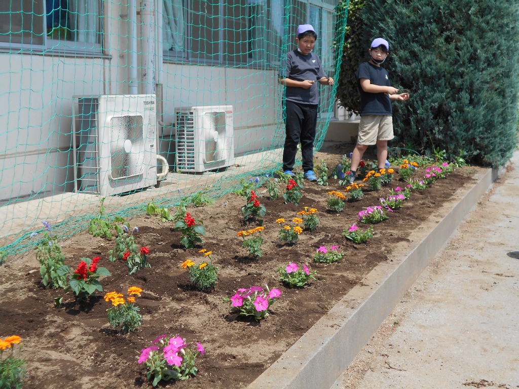 幡羅小学校