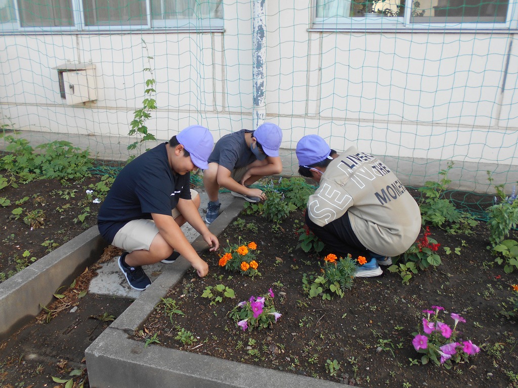 幡羅小学校