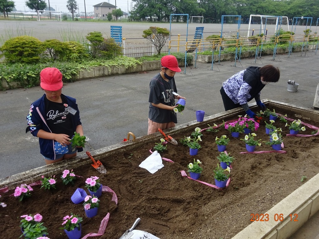 豊里小学校