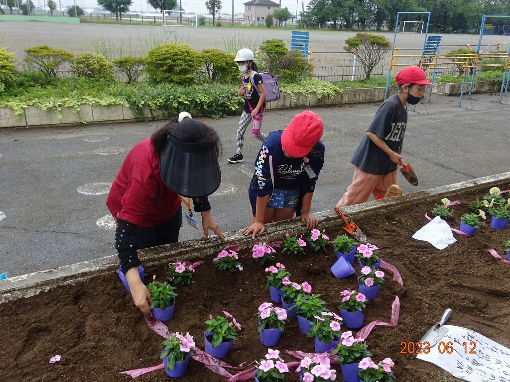 豊里小学校