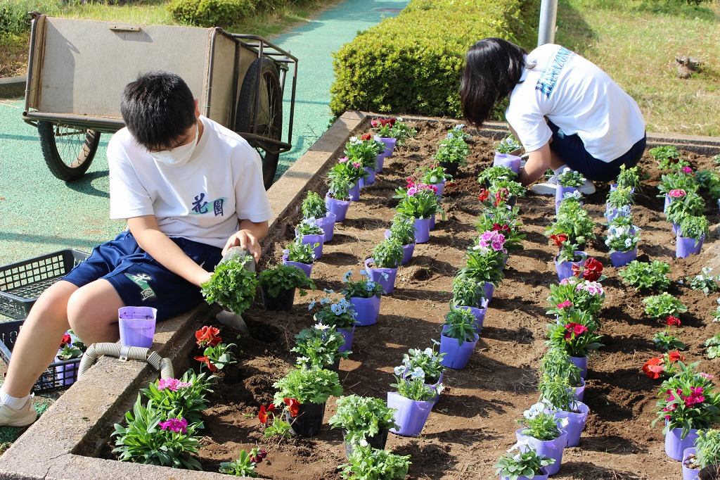 花園中学校