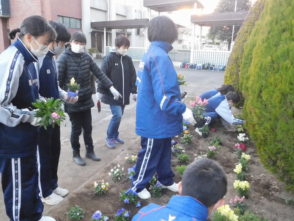 幡羅中学校