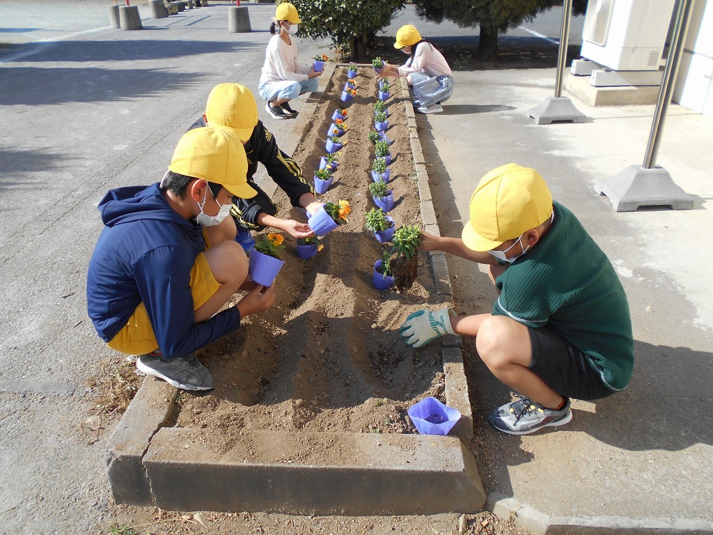 幡羅小学校