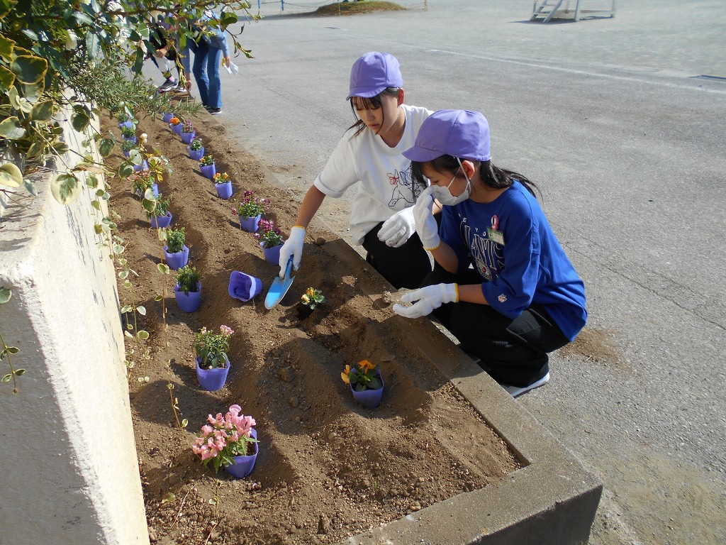 幡羅小学校