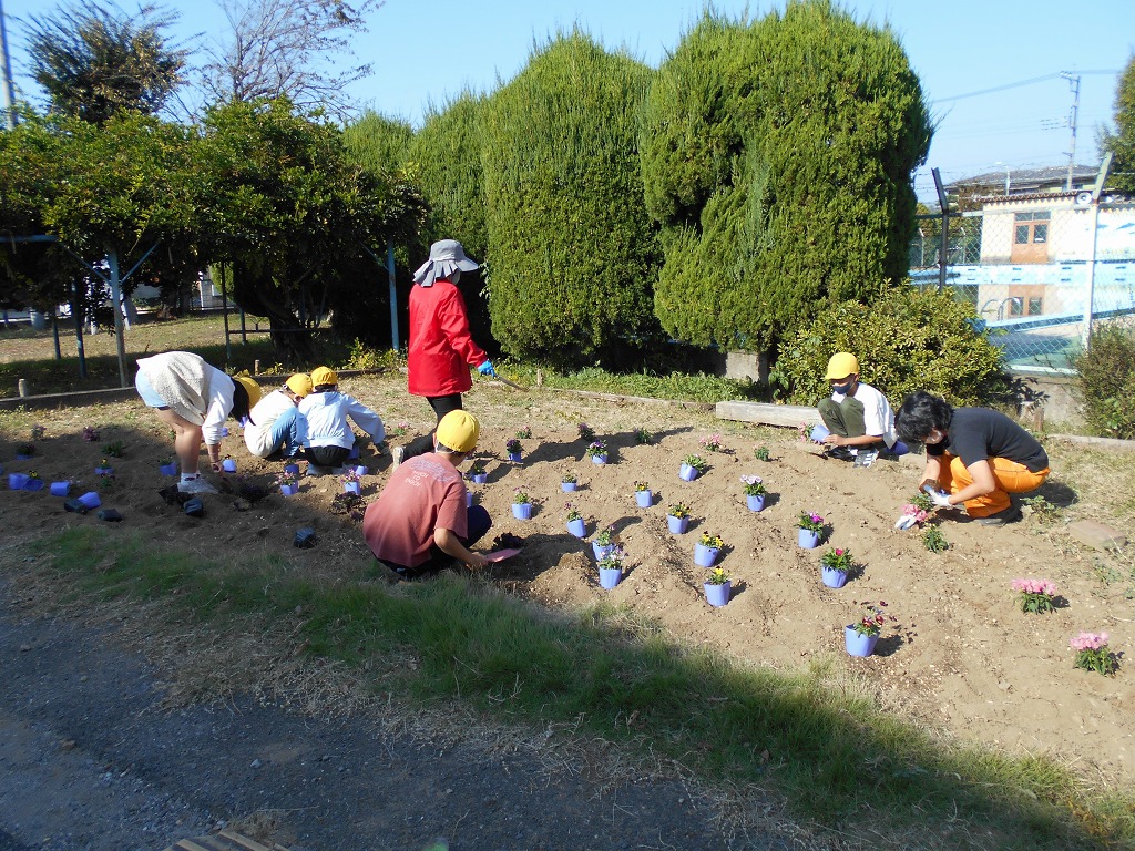 幡羅小学校
