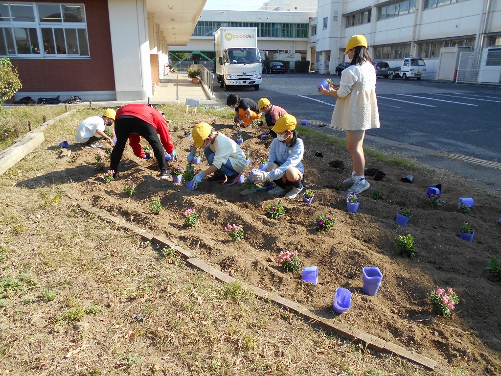 幡羅小学校