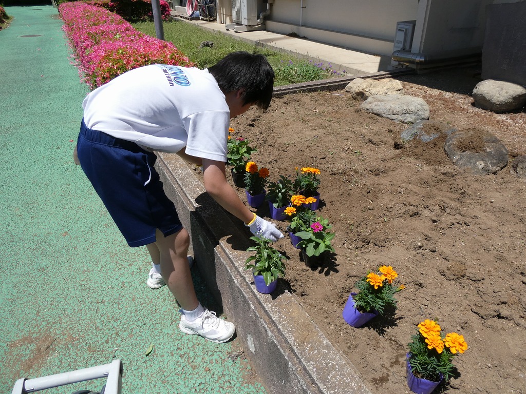 花園中学校