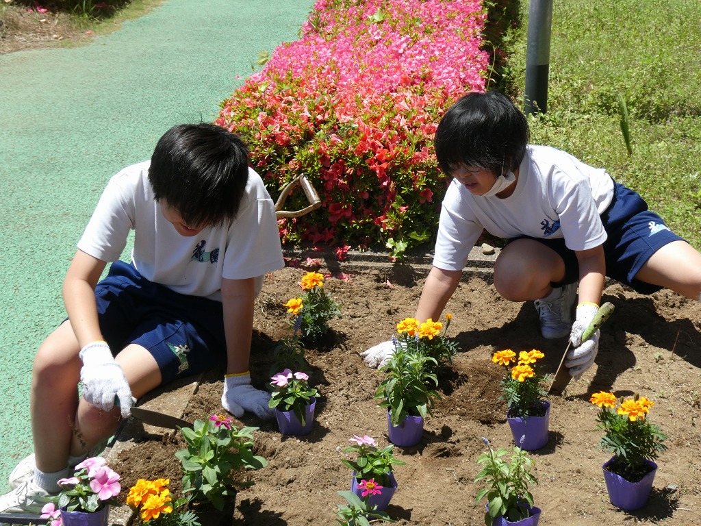 花園中学校