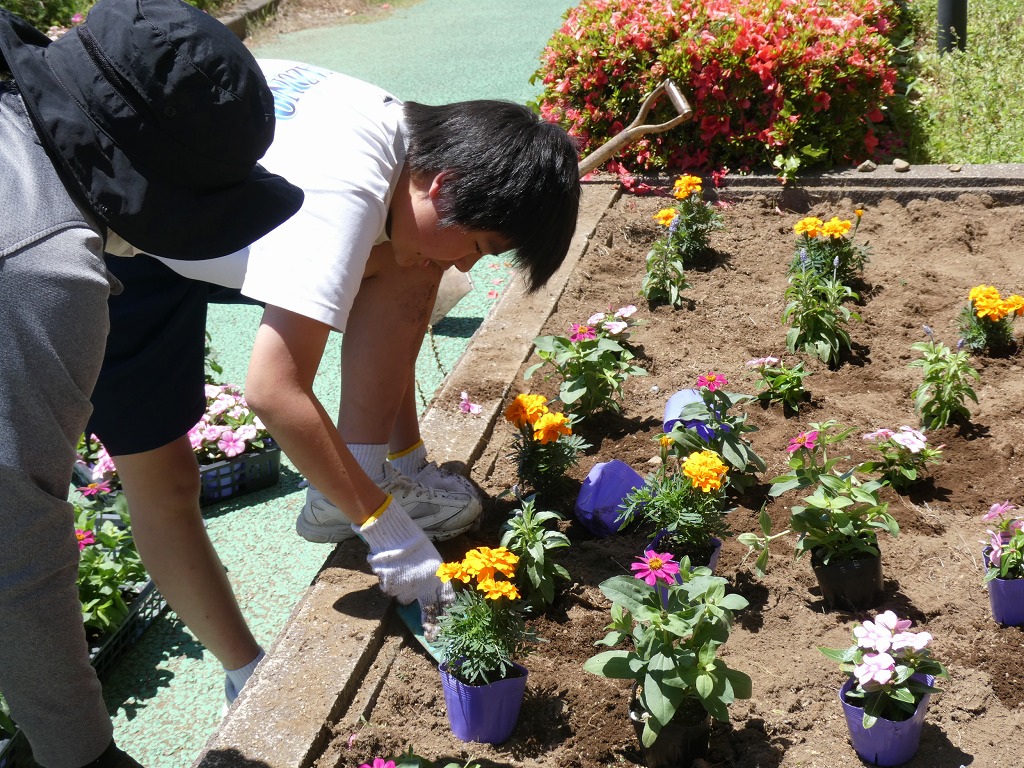 花園中学校