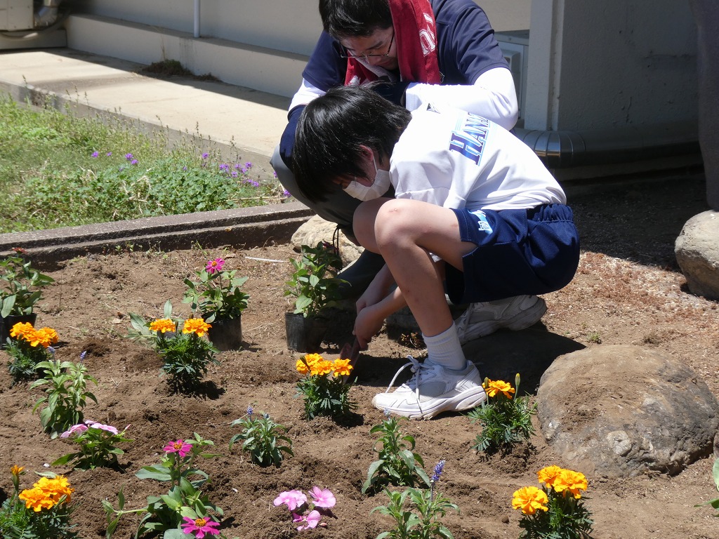 花園中学校