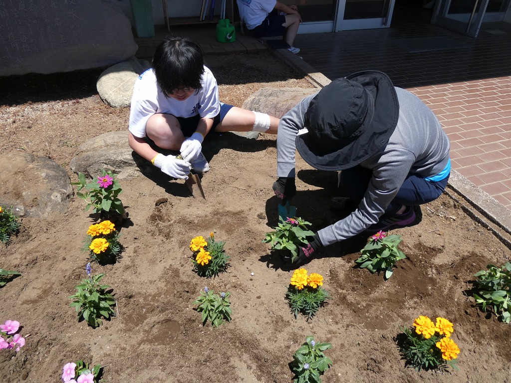 花園中学校