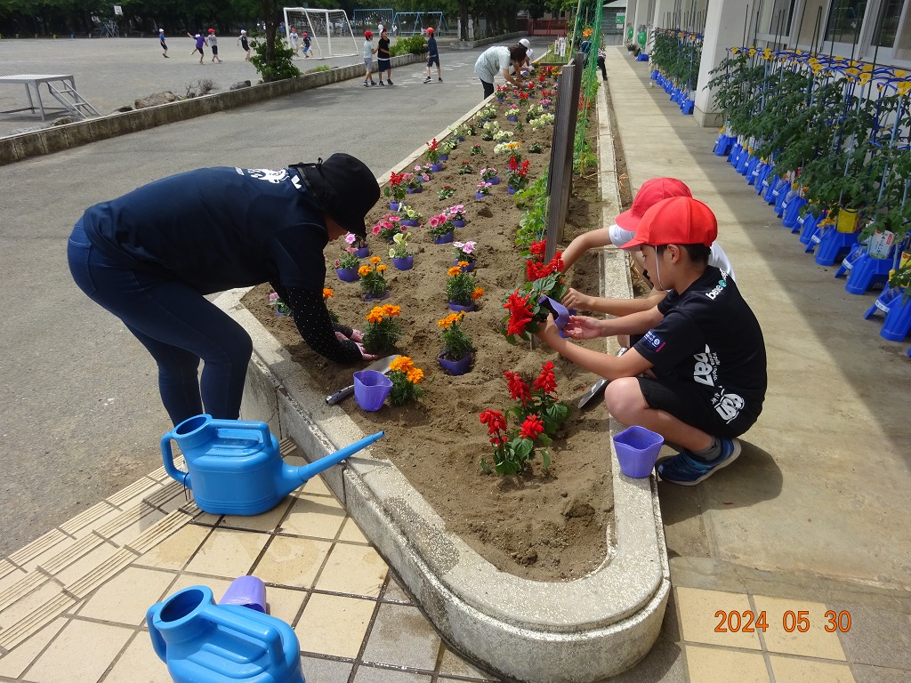 豊里小学校