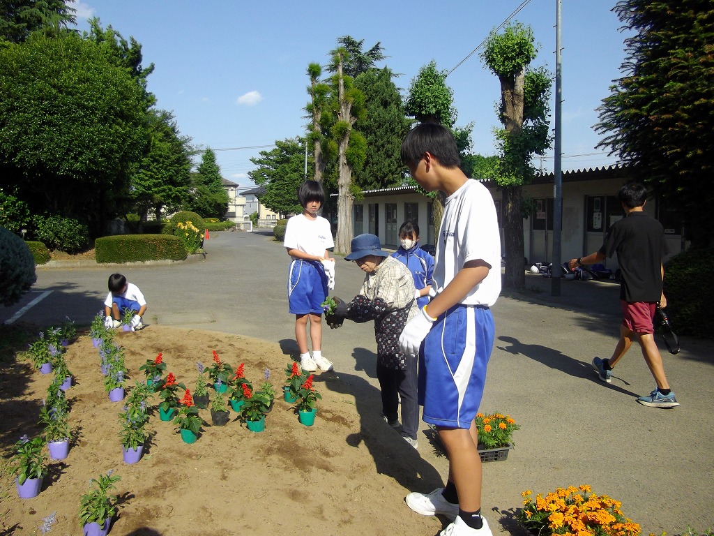 藤沢中学校