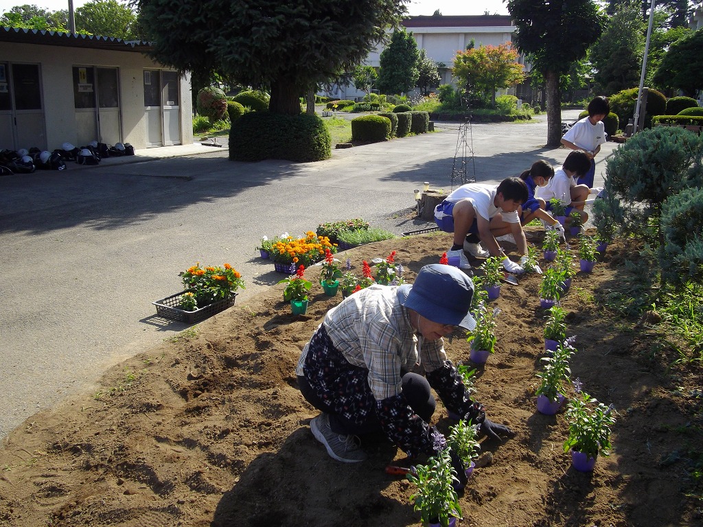 藤沢中学校