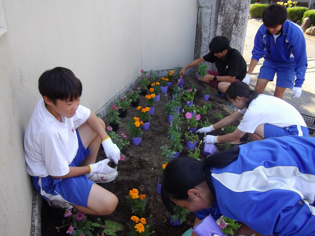 藤沢中学校