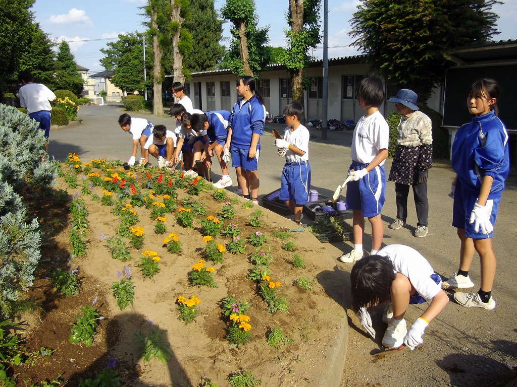 藤沢中学校