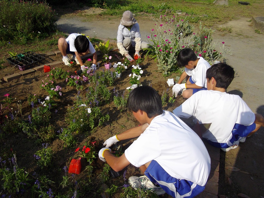 藤沢中学校