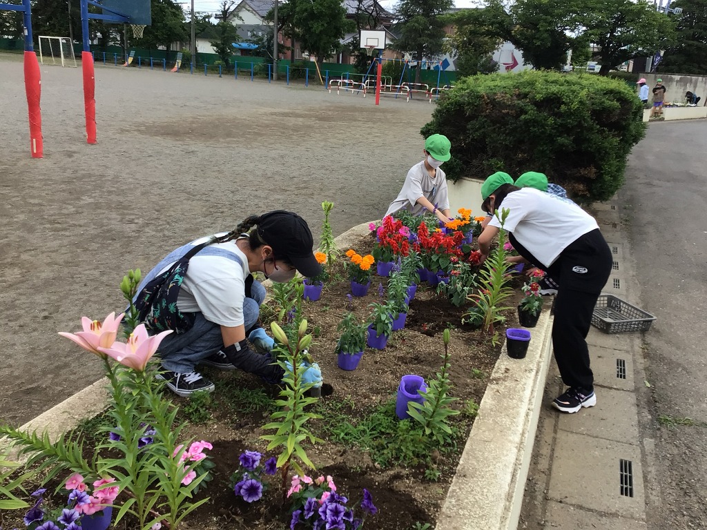 藤沢小学校