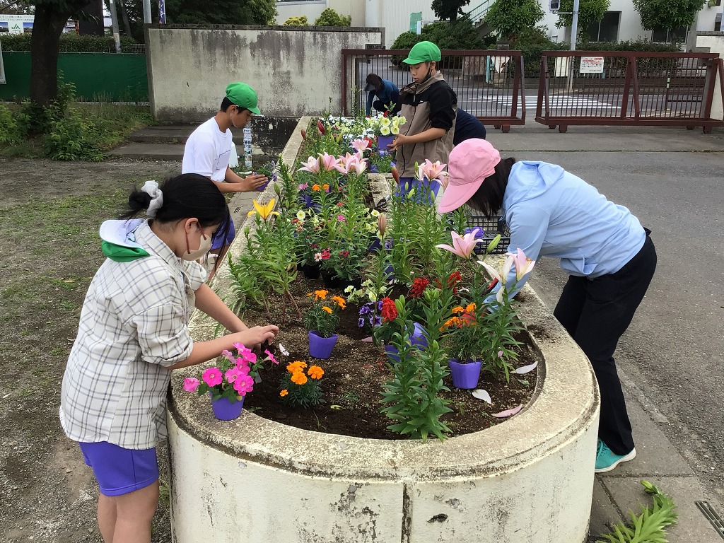 藤沢小学校