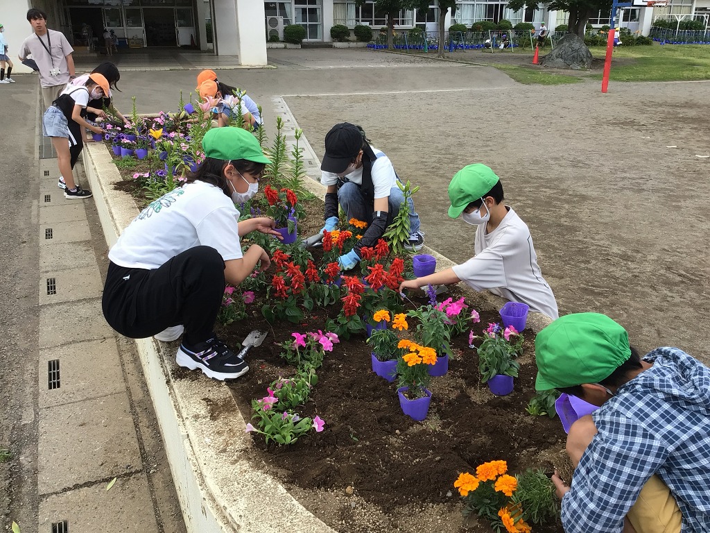 藤沢小学校