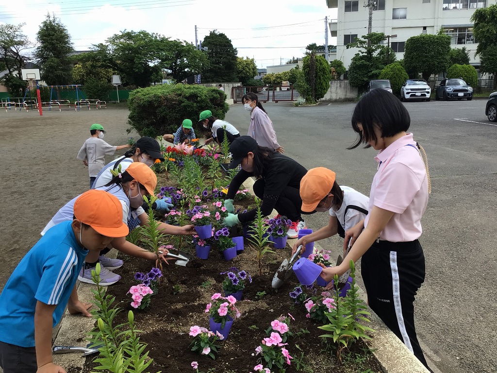 藤沢小学校