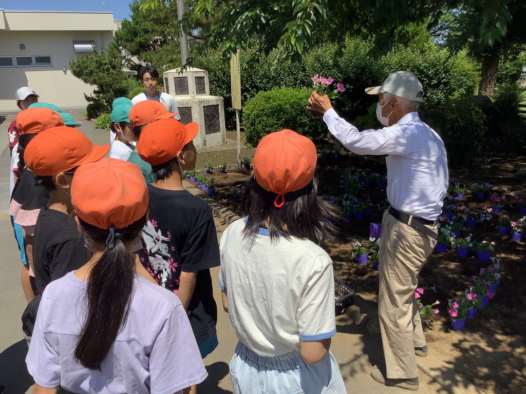 花園小学校