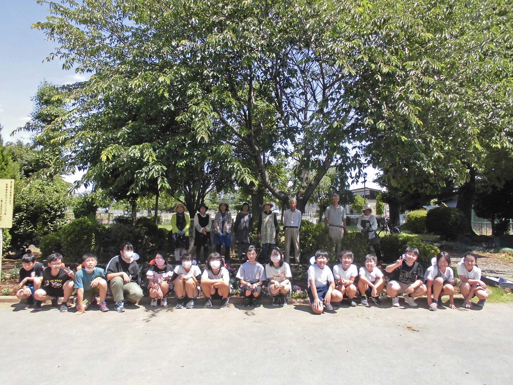 花園小学校