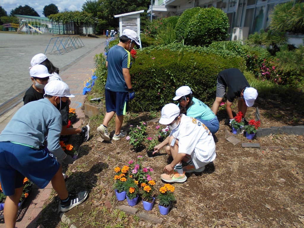 榛沢小学校
