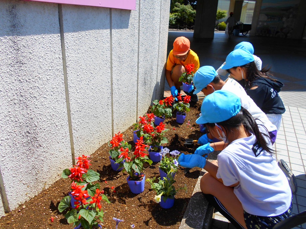 桜ケ丘小学校