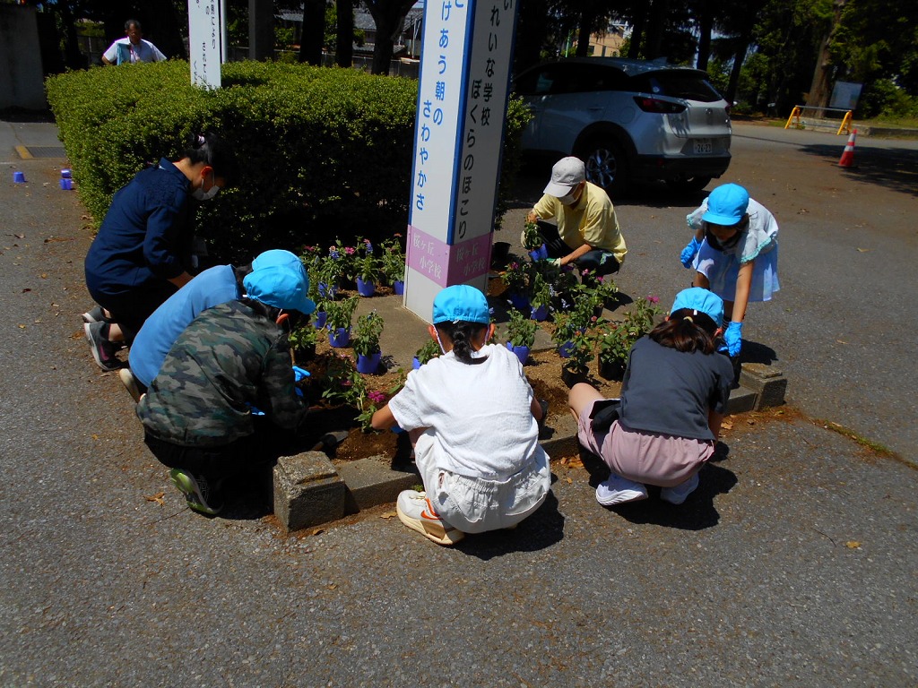 桜ケ丘小学校